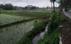 Pemkot Salatiga Ingin Bangun Wisata Religi di Candiwesi