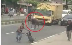 Kerbau Ngamuk di Jalanan Bangkinang, Kejar Warga hingga Seruduk Motor