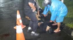 Kecelakaan Maut di Jalan RE Martadinata Tasikmalaya, Remaja Tanpa Identitas Tewas