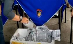 Video Gudang Penampung 129.000 Benih Lobster Digerebek Polda Jambi