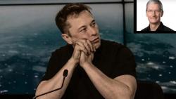 Elon Musk Tawarkan Apple Akuisisi Tesla Rp852 Triliun, Tim Cook Menolak