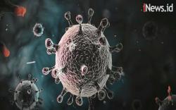 Makin Dekat Indonesia, Covid-19 Jenis Baru Sudah Sampai Singapura<