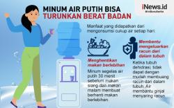 Infografis Minum Air Putih Bisa Turunkan Berat Badan