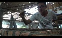 Budidaya Cacing, Bisnis Sampingan yang Menjanjikan 