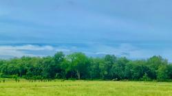 Jalan Rusak, Akses Menuju Wisata Pulau Burung di Laut Timur Jambi Dikeluhkan