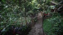 Lingkungan Rusak, Puluhan Mata Air di Kota Bandung Kritis