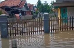 Video Banjir Rendam Dua Desa di Cirebon