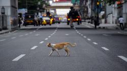 Jalan Protokol Kota Bandung Ditutup hingga Pukul 05.00 WIB