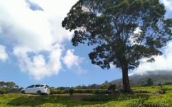 Wisata Gunung Dempo Sepi Imbas Covid-19, Pedagang Resah dan Gelisah<