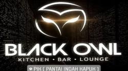 Pemprov DKI Resmi Cabut Izin Usaha Diskotek Black Owl