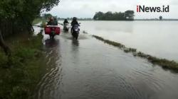 Video Ratusan Hektare Sawah di Pemalang Berubah Jadi Danau akibat Terendam Banjir
