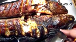 Video Nikmatnya Ikan Bakar Toman di Danau Laet Sanggau Kalbar