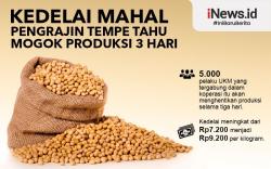 Infografis Pengrajin Tempe Tahu Mogok Produksi 3 Hari
