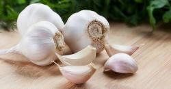 Pilek dan Batuk di Tengah Pandemi, Redakan dengan Bawang Putih