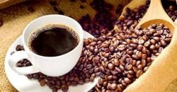 Minum Kopi Bisa Buat Hidup Lebih Lama? Ini Penjelasan Para Ilmuwan