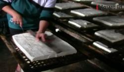 Kedelai Mahal, Kacang Koro Pedang Disiapkan Jadi Bahan Baku Tempe Tahu