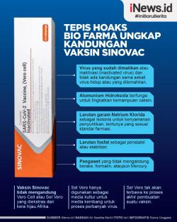 Infografis Hoaks Sinovac Mengandung Boraks