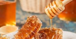 Selain Madu dan Yogurt, Deretan Makanan Sehat Ini Bisa Atasi Sariawan<