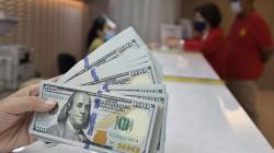 Kurs Rupiah Tembus Rp16.300, Bos BI: Semua Baik, Stabil dan Diapresiasi Presiden