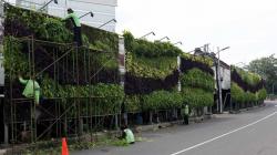 Merawat Taman Vertikal Ibu Kota