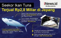 Ikan Tuna Sirip Biru Terjual Rp2,8 Miliar dalam Lelang di Jepang