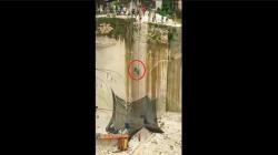 Truk Muatan Batu Kapur di Tuban Jatuh ke Jurang 30 Meter, Begini Kondisinya <