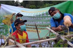Peneliti Fakultas Biologi UGM Kembangkan Labu Varitas Baru<