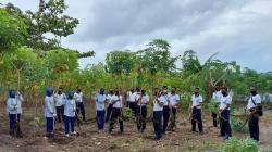 Lanal Melonguane Bagikan Hasil Panen Singkong ke Masyarakat Sekitar