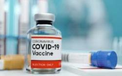 Ratusan Tenaga Medis Sulbar Dilatih Memberikan Vaksin Covid-19<