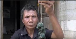 Petani di Pekalongan Temukan Ribuan Koin Kuno saat Mencangkul di Sawah<