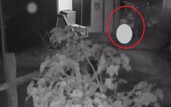 Heboh, Maling Bugil Terekam CCTV Rumah Warga di Jambi