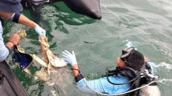 Cerita Relawan Bertaruh Nyawa dalam Evakuasi Sriwijaya Air SJ-182<