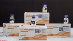 Disetujui BPOM, Ini Penampakan Vaksin Covid-19 Sinovac