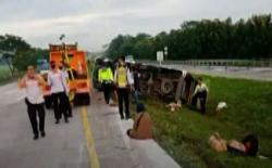 Video Kecelakaan Maut di Tol Cipali, 4 Orang Tewas<