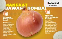 Infografis Manfaat Bawang Bombai