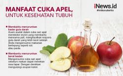 Infografis Cuka Apel Bisa Turunkan Berat Badan