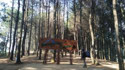 Cuaca Ekstrem, Pengelola Wisata Alam di Lembang KBB Dimbau Waspadai Pohon Tumbang