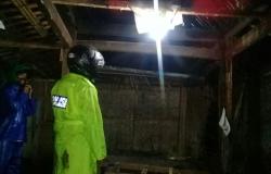 Pohon Sengon Setinggi 18 Meter Tumbang dan Menimpa Rumah Warga di Kulonprogo