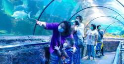 Liburan di Ancol saat PPKM, Ini 5 Aturan yang Harus Dipatuhi Wisatawan