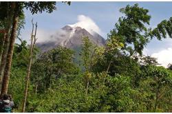 Potensi Ancaman Merapi ke Barat, BPPTKG: Pengungsi Boleh Pulang
