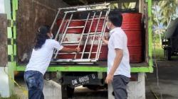 Penimbun Ribuan Liter BBM Jenis Solar Ditangkap Polres Pohuwato