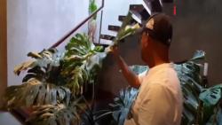 Video Rumah Rp500 Juta Ditukar dengan Tanaman Hias di Garut