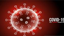 Update 18 Januari 2021, Kasus Covid-19 Tambah 9.086 Jadi 917.015 Orang