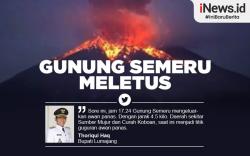 Infografis Gunung Semeru Meletus