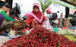 Harga Cabai Rawit di Baturaja OKU Tembus Rp100.000 per Kilogram<