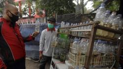 Sopir Angkot Banting Setir Jadi Penjual Ikan Cupang Keliling