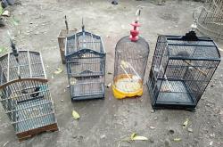 Kurang dari 24 Jam, Polsek Sleman Ungkap Kasus Pencurian Burung