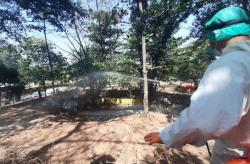 Jumlah Pengunjung Anjlok, Pengelola Semarang Zoo Siasati Kebutuhan Pakan Satwa