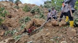 Belum Dievakuasi, 3 Warga Dilaporkan Masih Tertimbun Longsor di Majene