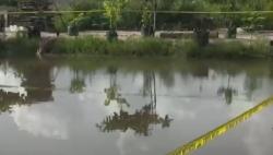 Video Bocah SD di Palangkaraya Tewas Tenggelam dalam Kolam Ikan<